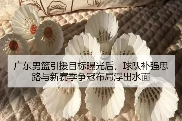 广东男篮引援目标曝光后，球队补强思路与新赛季争冠布局浮出水面 | XINGKONG SPORTS