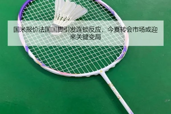 国米报价法国国脚引发连锁反应，今夏转会市场或迎来关键变局 - XINGKONG SPORTS